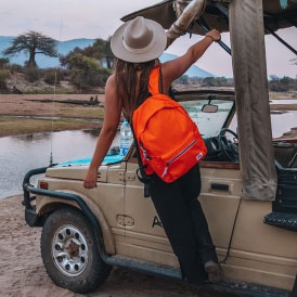 Mochilas e Sacos American Tourister